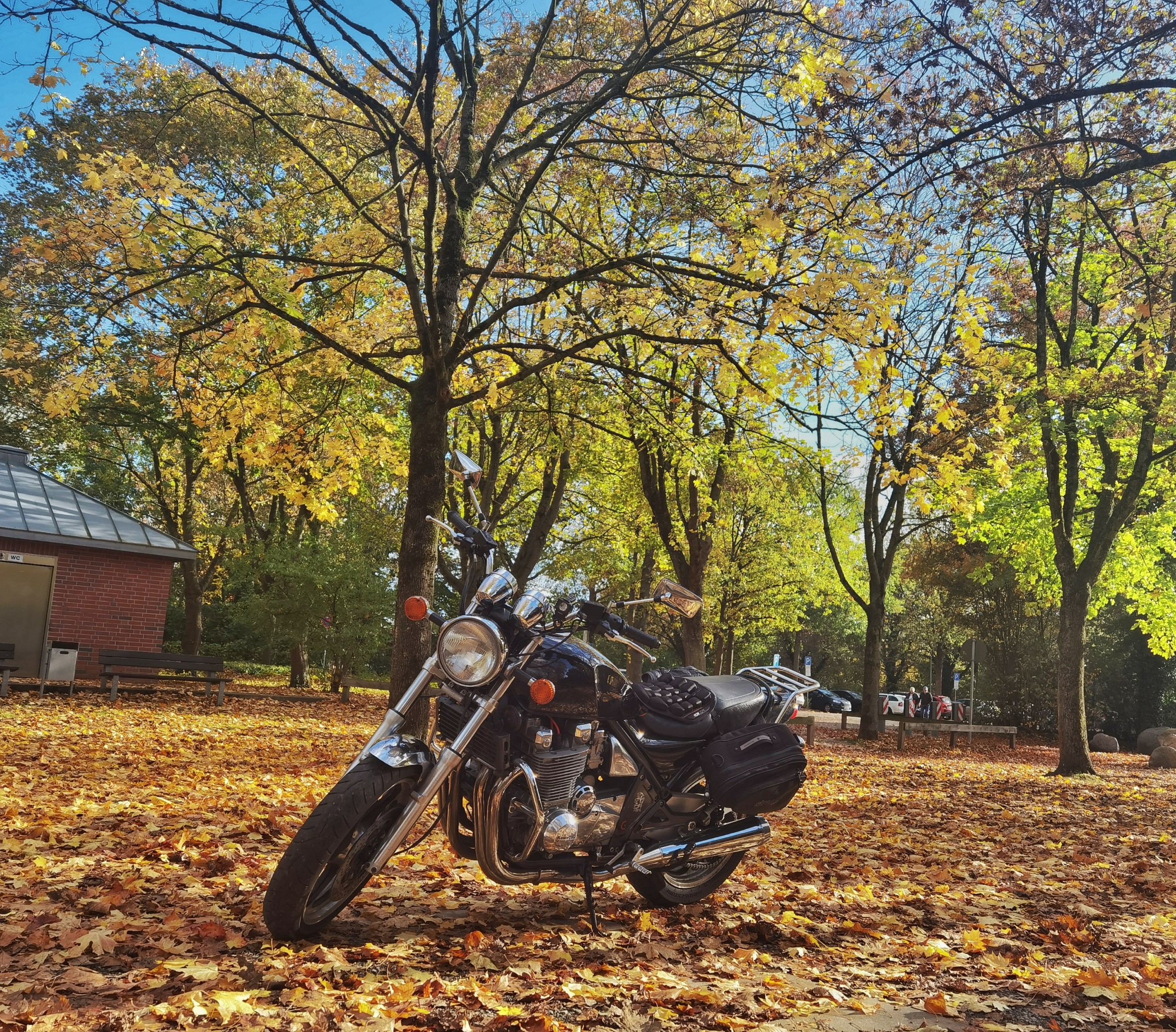 Steinhuder Meer im Herbst